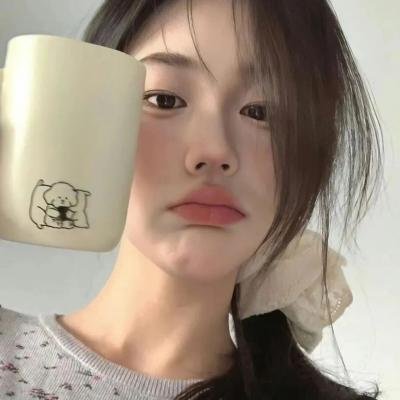 中国之役