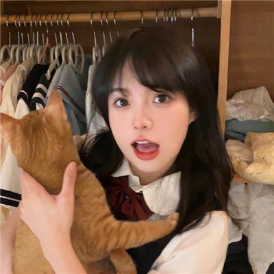 天鸟的喧嚣